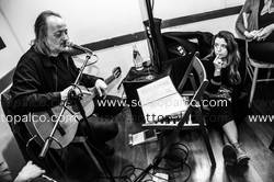Foto concerto live CESARE BASILE 
 
ROCKSTERIA 
Soul Kitchen, Via dei Sabelli 193 
Roma 23 marzo 2014