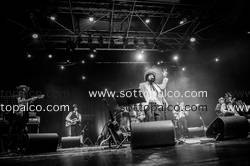 Foto concerto live VINICIO CAPOSSELA e Banda della Posta 
Obihall 
Firenze 12 Ottobre 2013