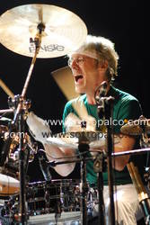 Foto concerto live Roma, 30 giugno 2009 
Roma Incontra il Mondo 2009 -  
Laghetto di Villa Ada 
STEWART COPELAND con NOTTE DELLA TARANTA