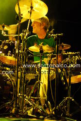 Foto concerto live Roma, 30 giugno 2009 
Roma Incontra il Mondo 2009 -  
Laghetto di Villa Ada 
STEWART COPELAND con NOTTE DELLA TARANTA