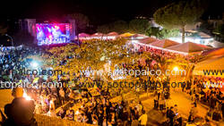 Foto concerto live SEUN KUTI AND EGYPT 80 
Live Rock Festival 
Giardini Ex Fierale 
Acquaviva 12 settembre 2015