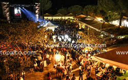 Foto concerto live P-FUNKING BAND 
Live Rock Festival 
Giardini ex fierale 
Acquaviva 31 agosto 2013
