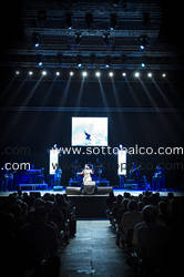 Foto concerto live LOREDANA BERTE' 
Luglio Suona Bene 
Auditorium Parco della Musica 
Roma 28 Luglio 2014